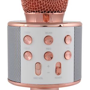 Smartphone Compatible Karaoke Microphone w/Speaker