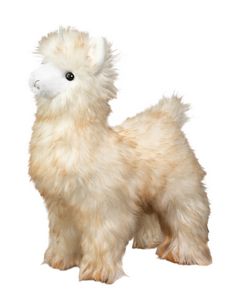 Smooch Alpaca