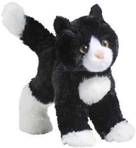 Snippy Black/White Cat