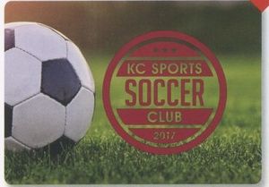 Soccer Theme Poker Size Playing Cards