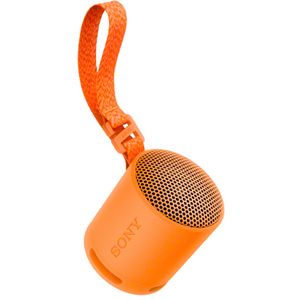 Sony XB100 Compact Bluetooth Wireless Speaker