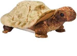 Speedy Tortoise