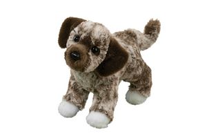 Spud Brown & White Mutt