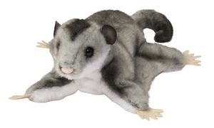 Squeek Sugar Glider