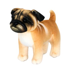Standing Pug
