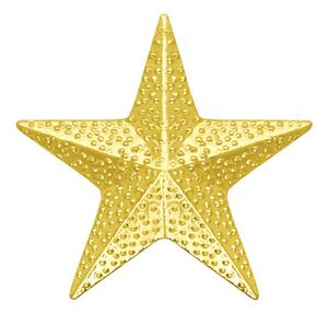 Star Chenille Lapel Pin (7/8")