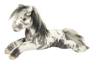 Starsky Appaloosa Horse