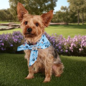 Sublimated Bandana - RPET