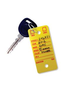 Survivor Key Tags (Set of 250)