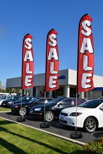 Swooper Flag & Pole Kit w/Water Base