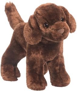 Sylvia Chocolate Lab