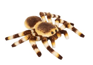 Tarantula