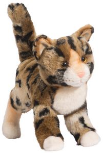Tashette Bengal Cat