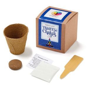 Third Eye Chakra Growable in Kraft Gift Box