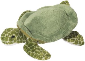 Tillie Sea Turtle
