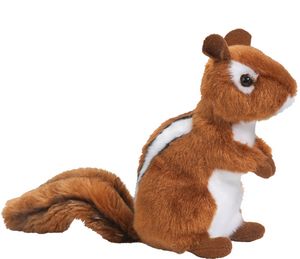 Tilly Chipmunk