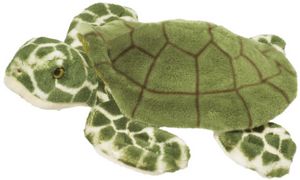 Toti Sea Turtle