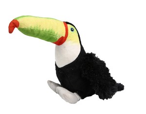 Toucan