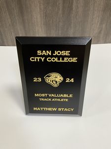 Touchstone Plaque Award - Silver Or Gold
