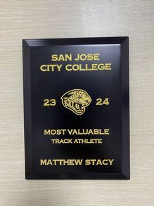 Touchstone Plaque Award - Silver Or Gold