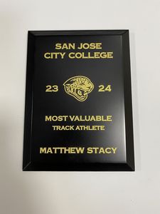 Touchstone Plaque Award - Silver Or Gold