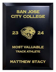 Touchstone Plaque Award - Silver Or Gold