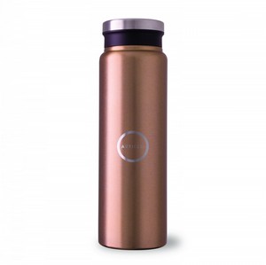 Trend Setter Metallic 600 Ml / 20 Oz Stainless Steel Bottle