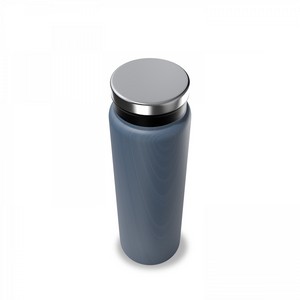 Trend Setter Ronan 600 Ml / 20 Oz Bottle