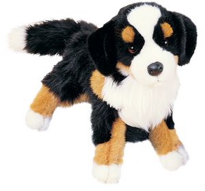 Trevor Bernese Mountain Dog
