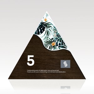 Triangle Acrylic & Wood Award - Small