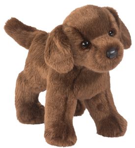 Tucker Chocolate Lab