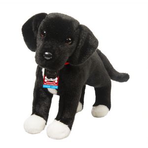Twister Black Lab/Pit Mix