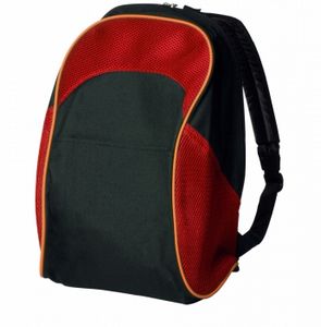 Two Tone School Backpack