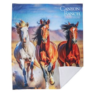 Ultra Plush Blanket