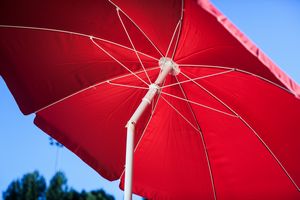 Umbrella 5.5