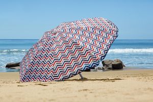 Umbrella 5.5