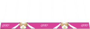 Vector Frame Hanging Light Box 40ft x 3ft
