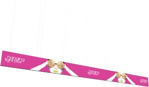 Vector Frame Hanging Light Box 40ft x 3ft