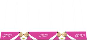 Vector Frame Hanging Light Box 40ft x 4ft