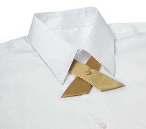 Vegas Gold Polyester Satin Crossover Tie