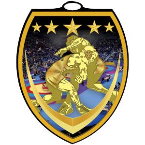 VibraprintÂ® Shield Wrestling Medallion (3")