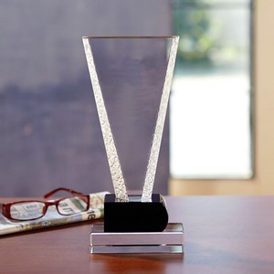Vindication Award