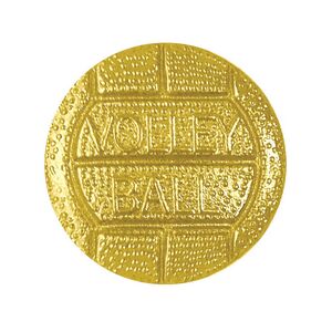 Volleyball Chenille Lapel Pin