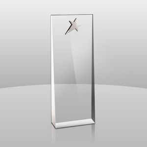 Wedge Award w/Star (8"x3"x1 3/4")