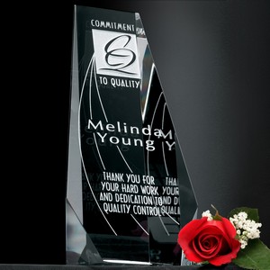 Wedgewood Award 6"