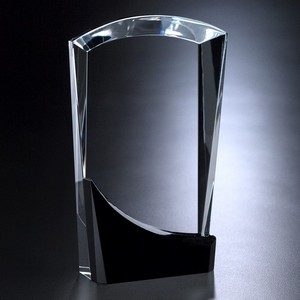 Wellton Sable Award 8"