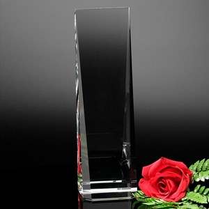 Westby Wedge 10"