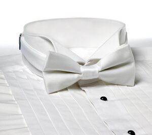 White Adjustable Banded Bow Tie