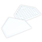 White Home Plate without Spikes; Box
