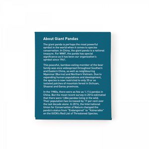 With Kiwi Scent And Small Customizable Sleeve 0 07 Fl Oz / 2 Ml Per Packet